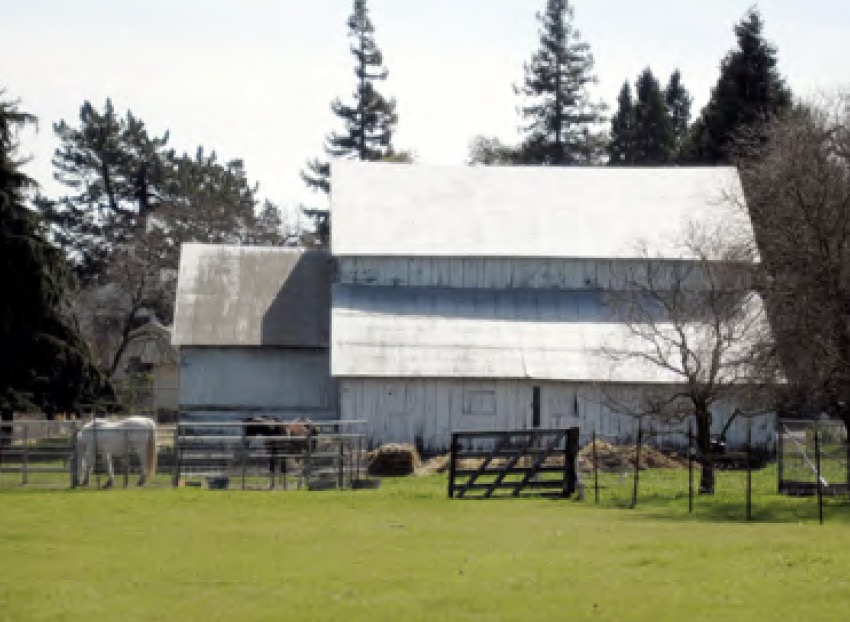 CWA November 15 2025 Plein Air